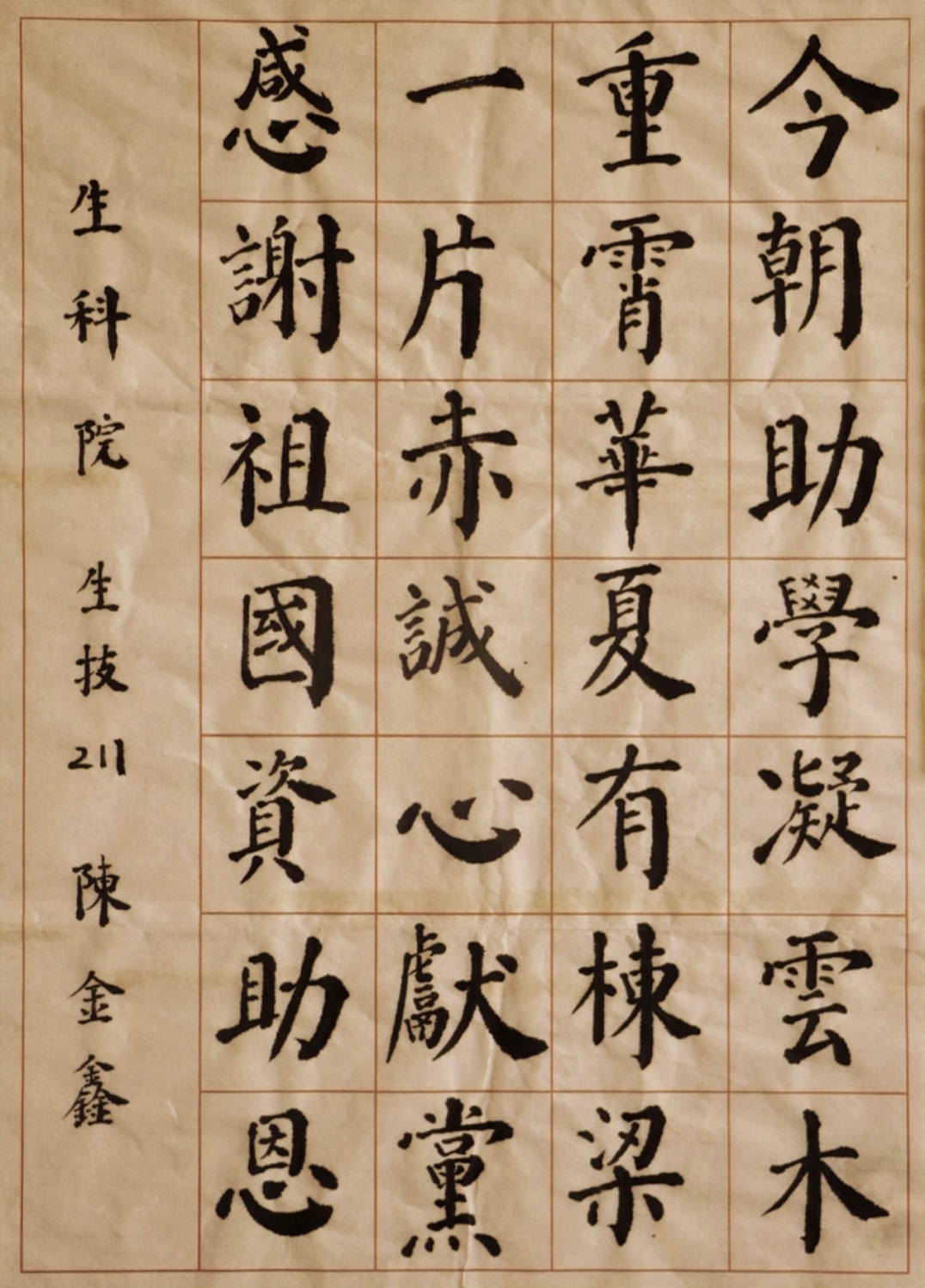 书法作品-生命科学学院-陈金鑫-感恩助学.png